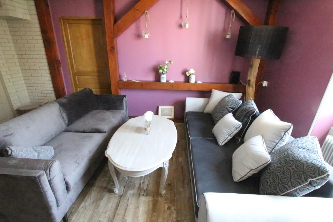 Colmar City Center - Apartment Duplex Marigny - Bookingalsace Exterior foto